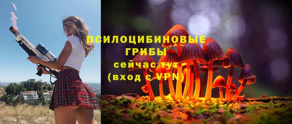 гидропоника Верея