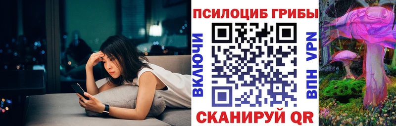 Галлюциногенные грибы Cubensis  Купить закладки  Зима 